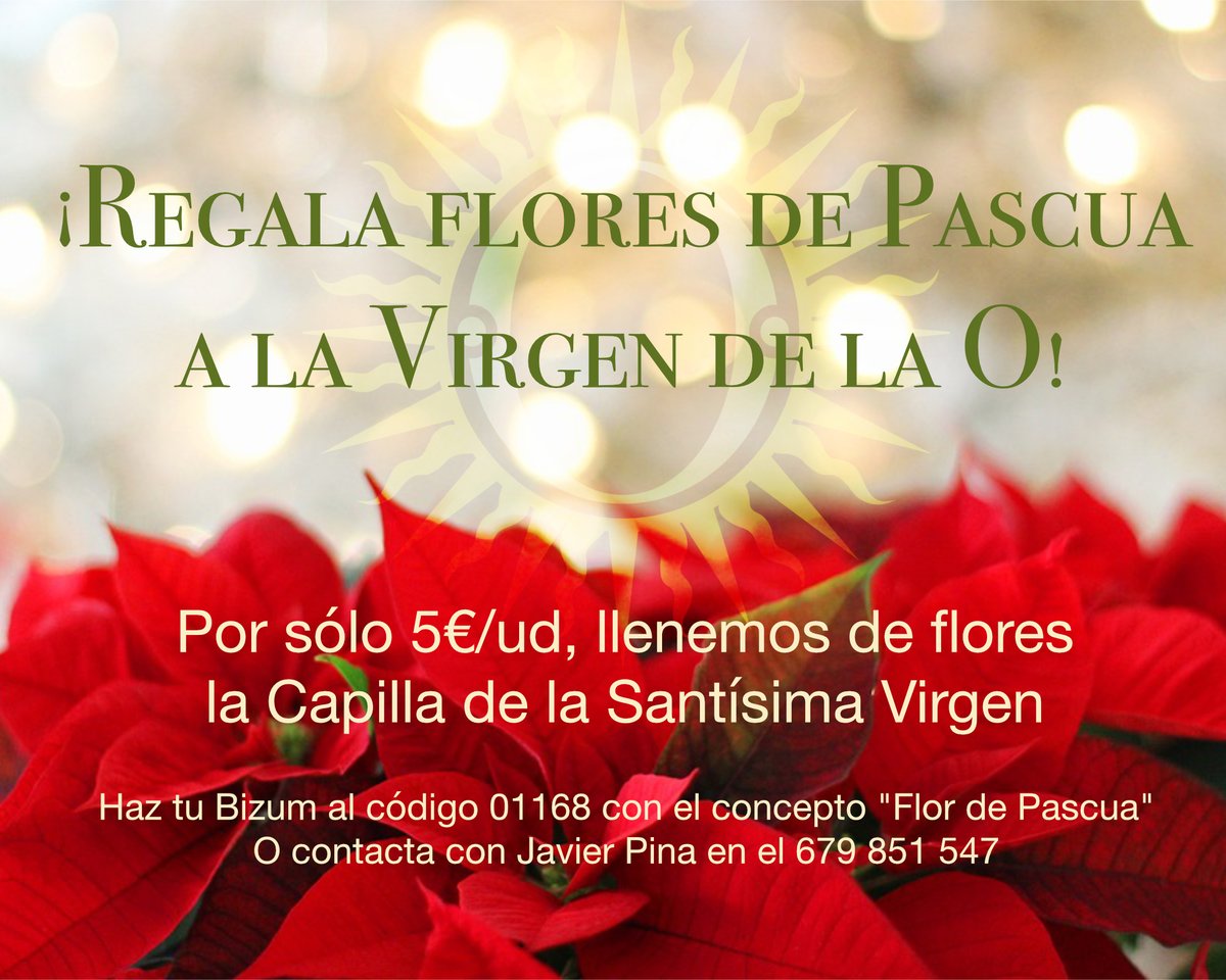 defension's tweet photo. 🌺 ¡Regala una Flor de Pascua a la Virgen de la O! 🌺

Por sólo 5€/ud, puedes colaborar y hacer posible este precioso gesto y vestir su capilla con todo nuestro amor. ❤️✨
📲 Bizum: 01168 (concepto: Flor de Pascua)
📞 Info: Javier Pina – 679 851 547

¡Tu colaboración cuenta! https://t.co/a2OPsFEUMC