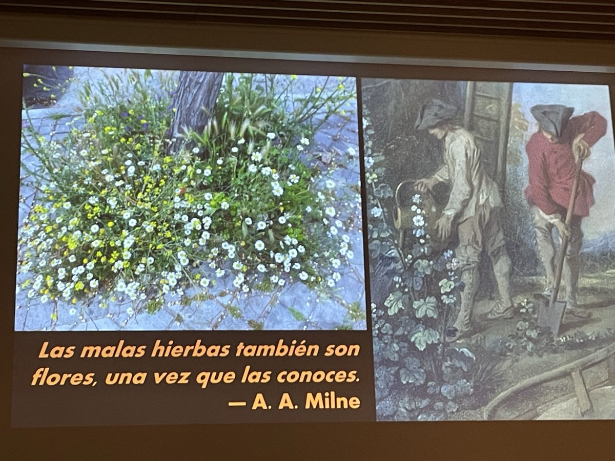Conferencia magistral en <a href="/cpompidoumalaga/">Centre Pompidou Málaga</a> realizada por <a href="/eduardobarba_/">Eduardo Barba</a> “Arvenses”  que importantes son para la biodiversidad 
<a href="/La_SER/">Cadena SER</a> <a href="/BosqueHabitado/">El Bosque Habitado</a> <a href="/verdejomar/">Mar Verdejo Coto</a> <a href="/AmigosPicasso/">Amigos de la Casa Natal Picasso</a>