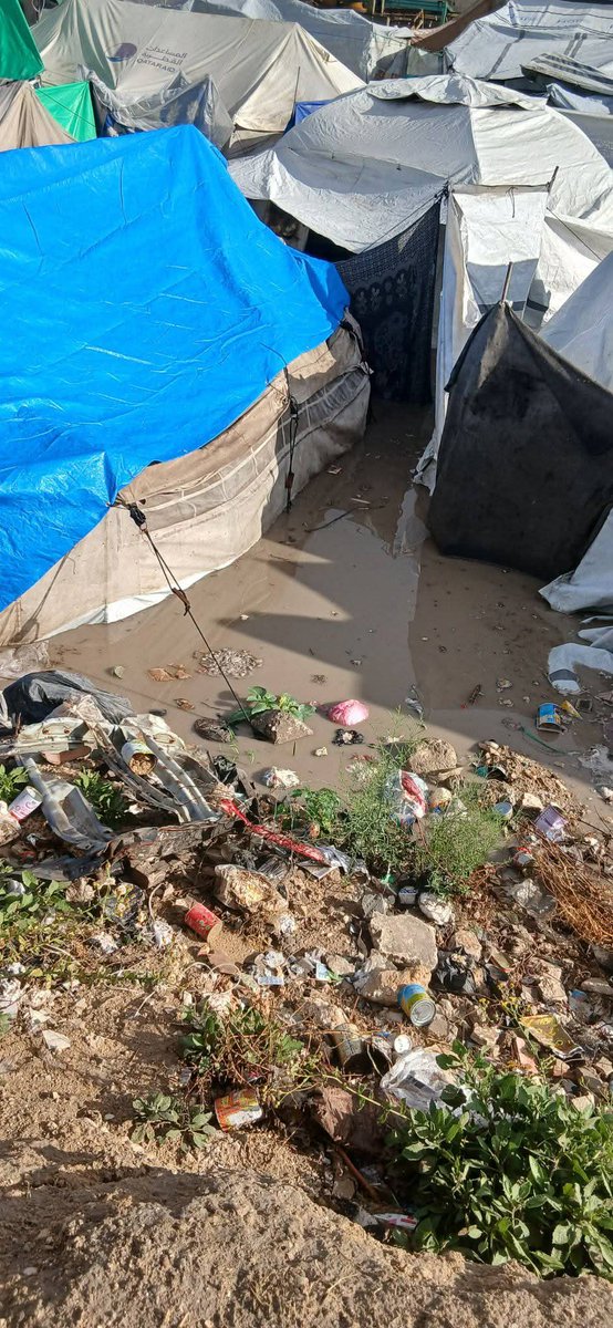 Abeer351989's tweet image. ❄️💧 My children are freezing in a flooded tent.
💔 Nights are harsh, and they desperately need help.
🙏 Donate warm clothes &amp;amp; blankets now—every little bit counts!
#HelpChildren #EmergencyAid #WarmthForAll.
chuffed.org/project/143320…