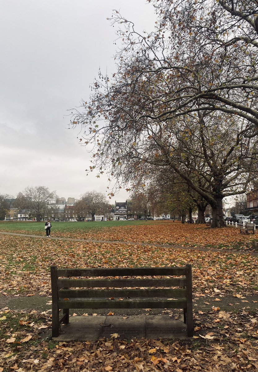 “We struggle and suffer to reconquer our solitude.”

~ Albert Camus, Notebooks