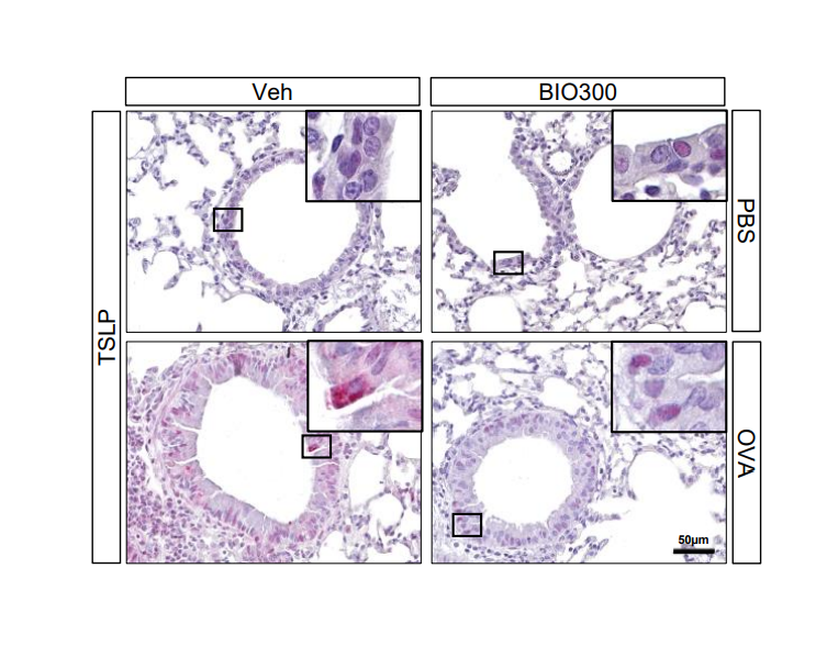 Allergy EAACI tweet media