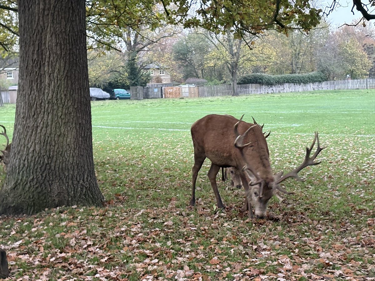devadam88's tweet image. Day 29 of #30DaysOfExercise

8km in around 1hr. ⏳

1 more day left. But it doesn’t stop there.