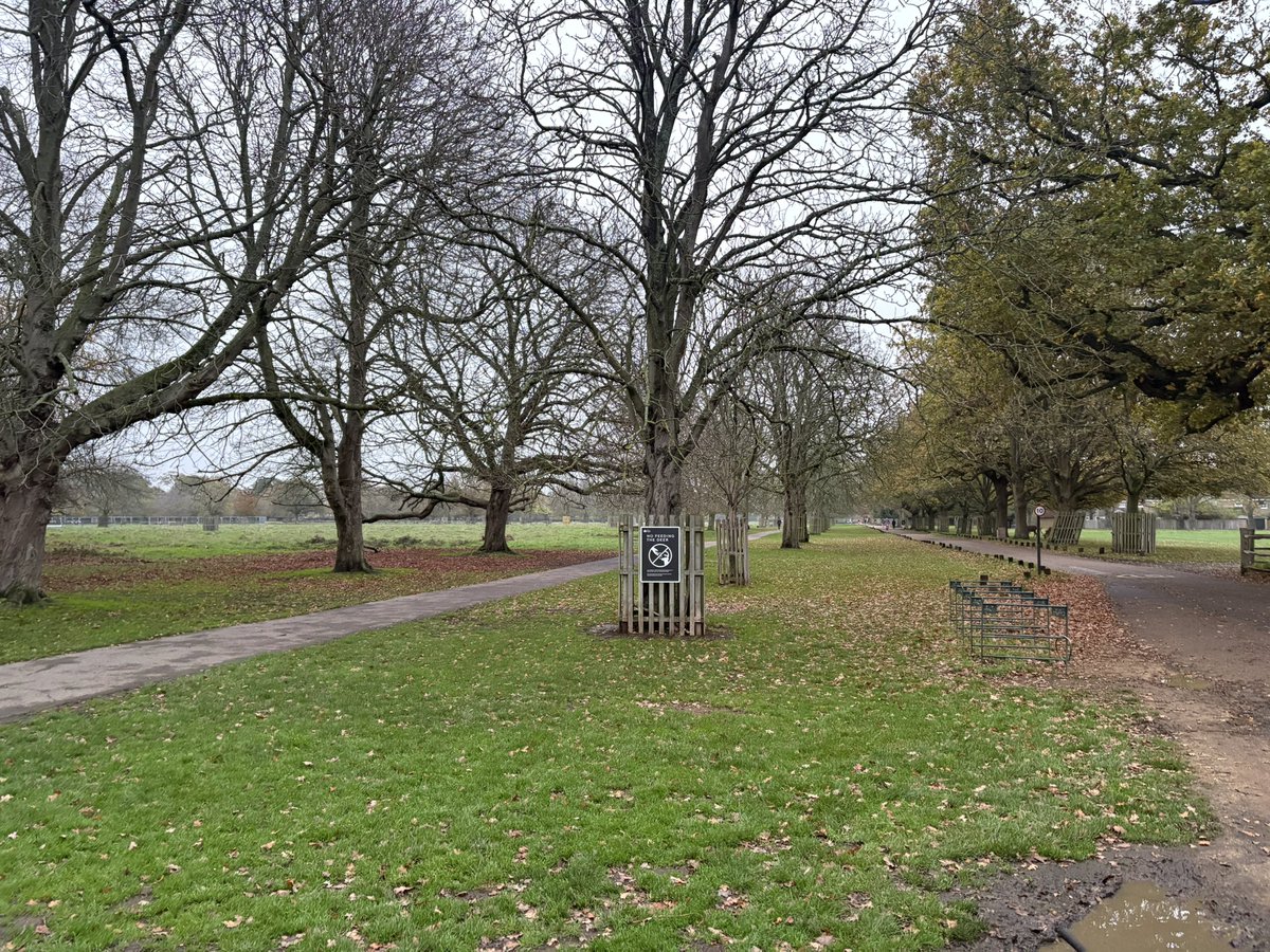 devadam88's tweet image. Day 29 of #30DaysOfExercise

8km in around 1hr. ⏳

1 more day left. But it doesn’t stop there.