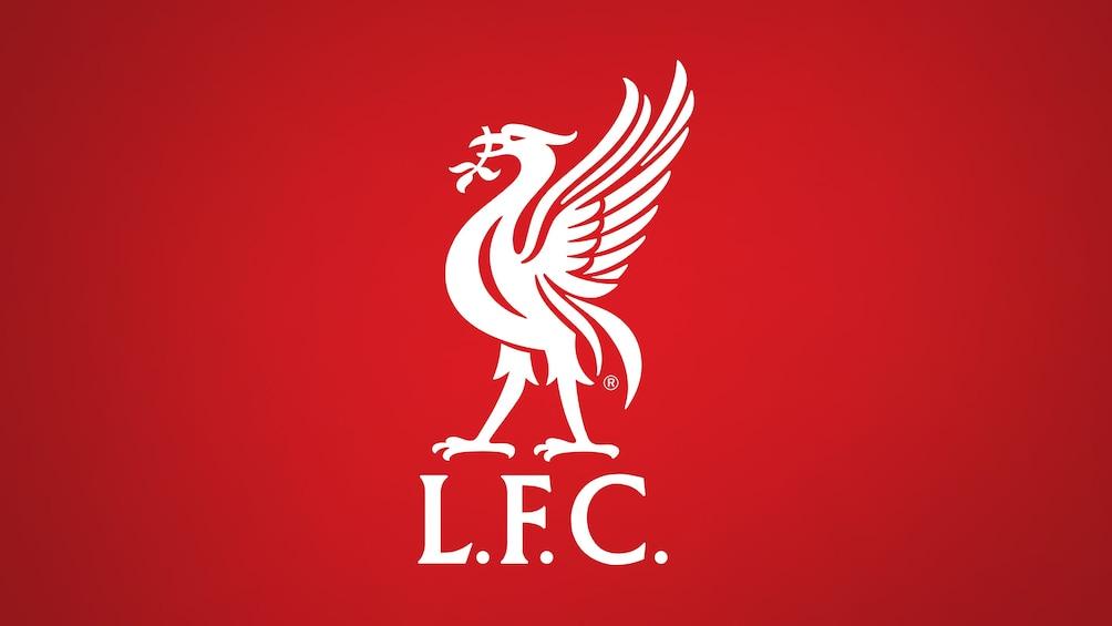 FCIMtr's tweet image. Adam gibi adamların tuttuğu takımlar