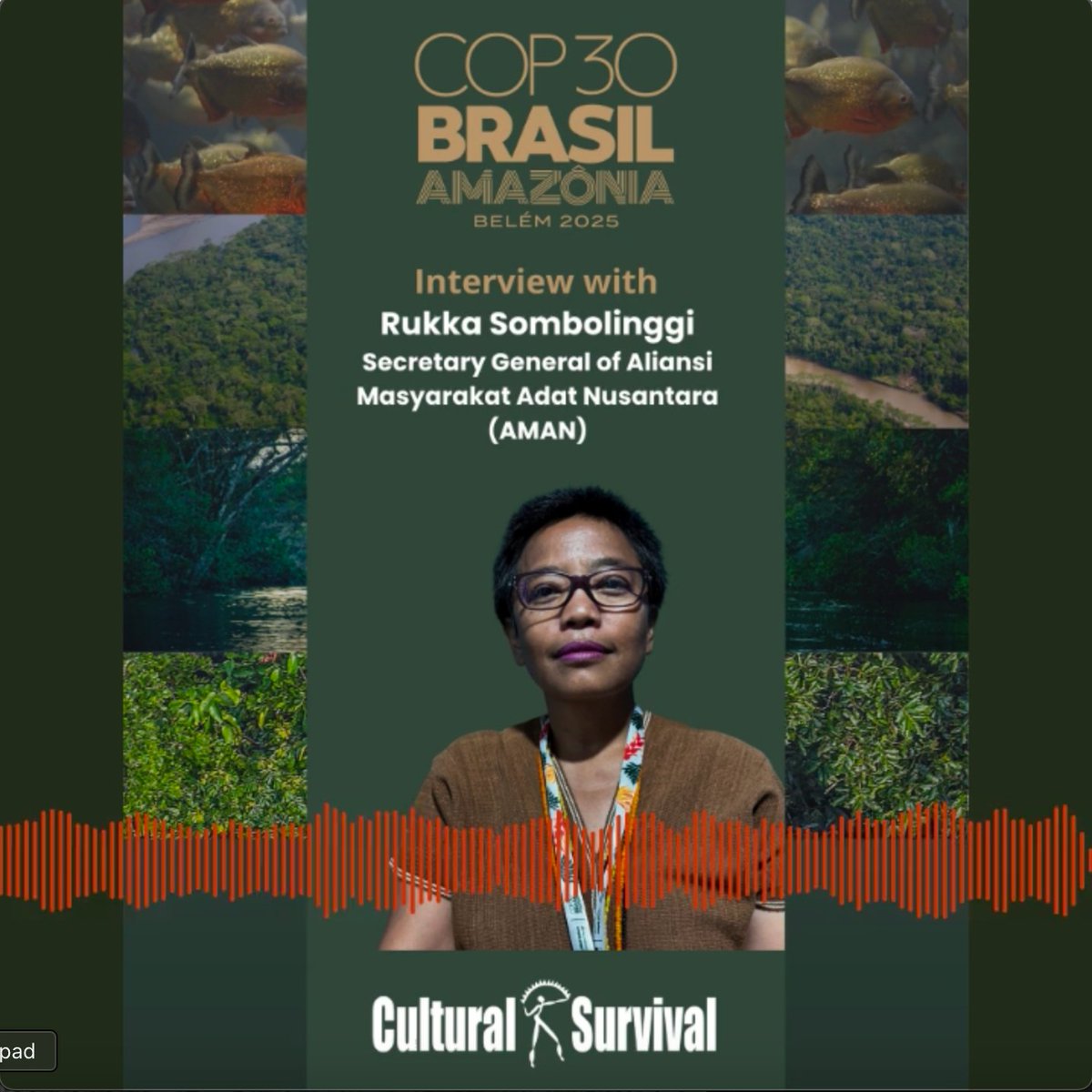 CSORG's tweet image. Rukka Sombolingg (Torajan) spoke with us at #COP30 about the rapid expansion of #TransitionMinerals extraction in the name of the so-called #GreenTransition, fueling land grabs and increasing violence against Indigenous communities. #IndigenousRights 

youtube.com/watch?v=iwlU0V…