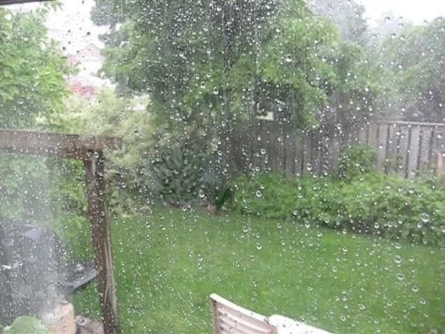 HowtoOther's tweet image. Thank God It's raining in California☔️🌧❤️