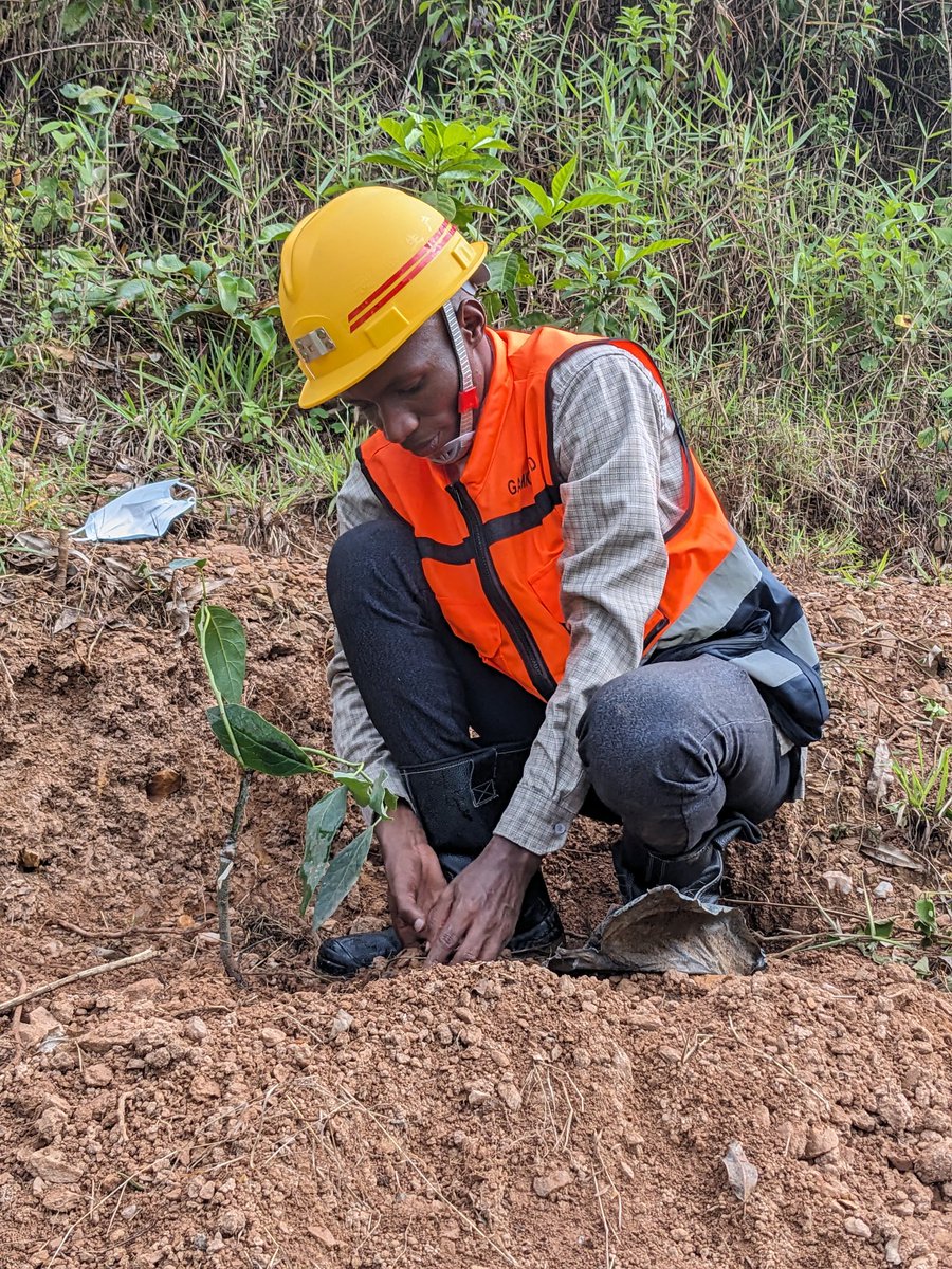 MAWUWA Robeni tweet media