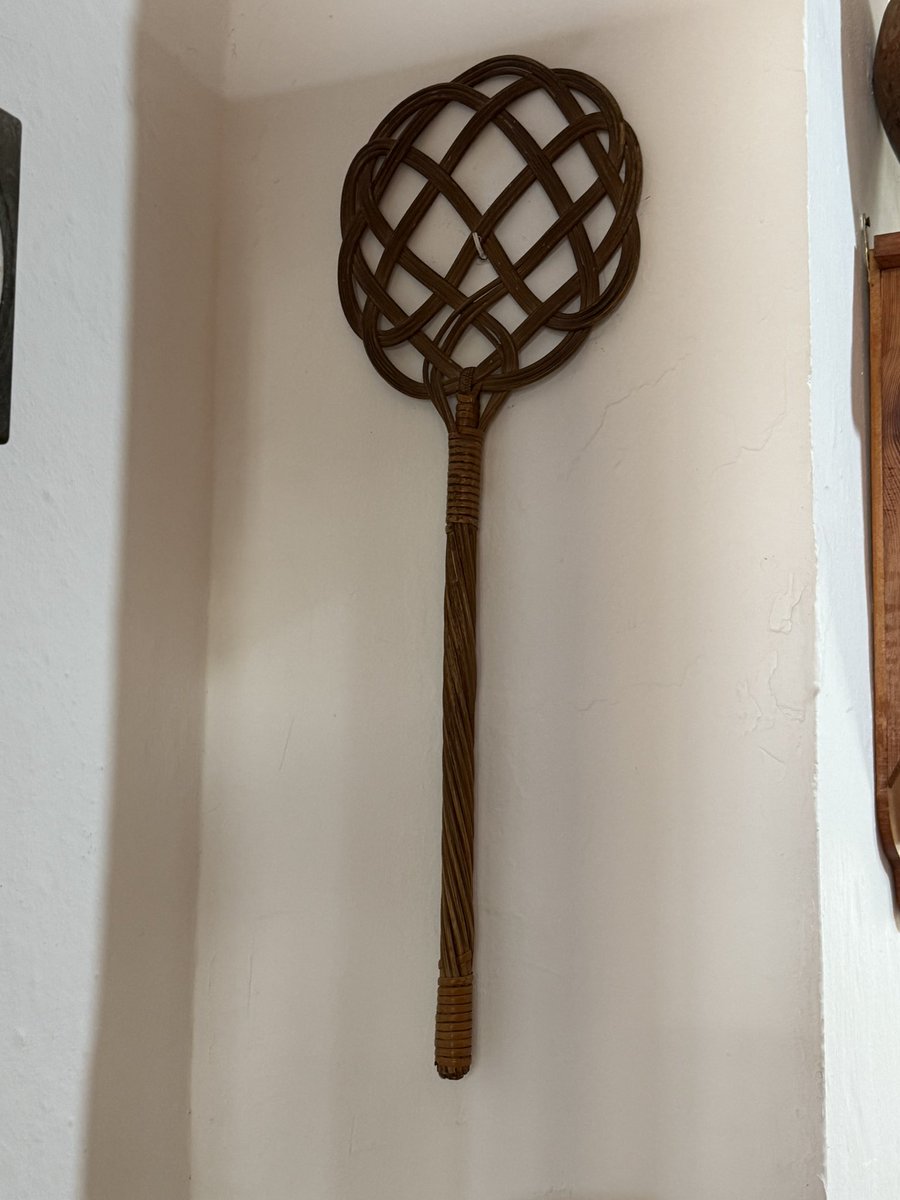 Maria José tweet media