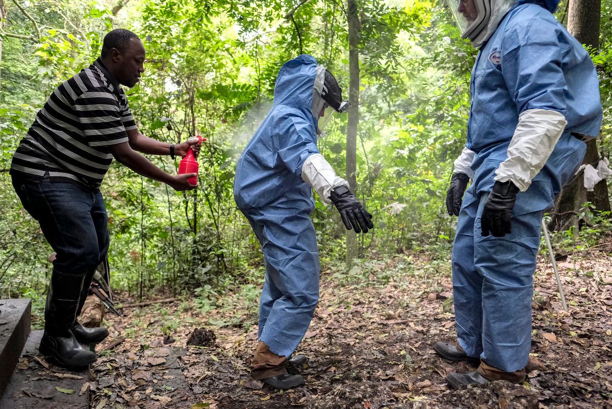 MarioNawfal's tweet photo. 🇪🇹 ETHIOPIA CONFIRMS FIRST-EVER MARBURG OUTBREAK… DEADLY COUSIN OF EBOLA

Marburg virus, Ebola’s equally terrifying cousin, has made its debut in Ethiopia… nine confirmed cases, no cure, no vaccine, and a 50% fatality rate.

The WHO says it’s "actively supporting" containment… meaning, cross your fingers and hope it doesn’t spread across borders.

Initial symptoms include fever, chills, and muscle pain… then things go downhill fast with hemorrhaging and multi-organ failure.

It likely jumped from bats, because of course it did. Turns out nature’s still better at horror than Hollywood.

Source: WHO, CDC