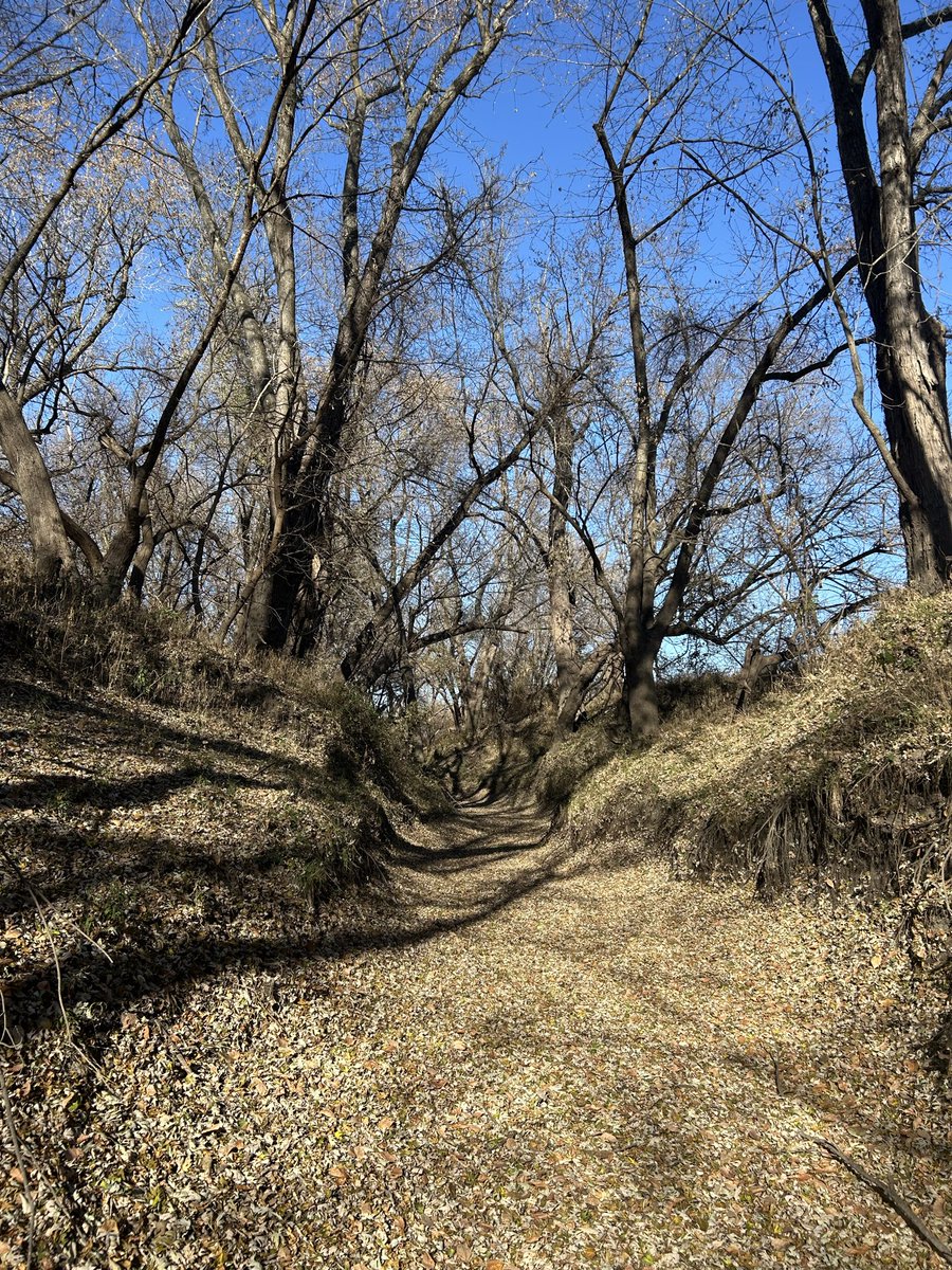 JTHFarms (@jthfarms) on Twitter photo 