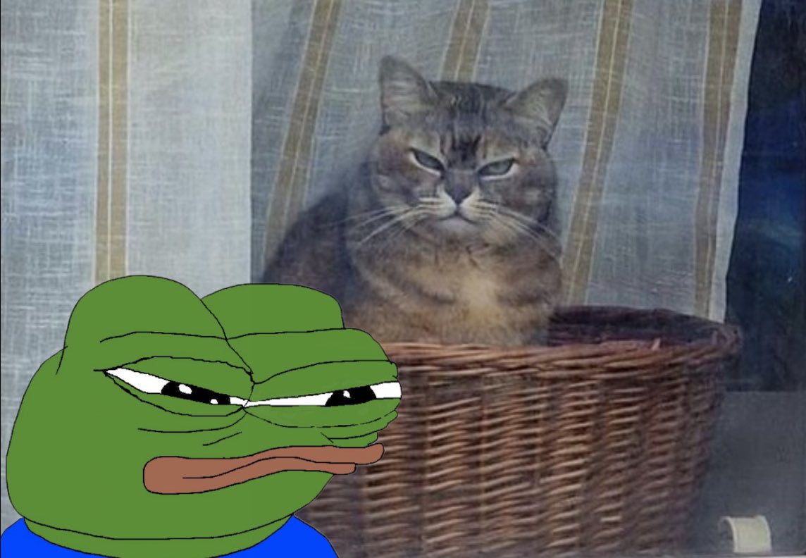 gm frens….
mi &amp; ket been noticin