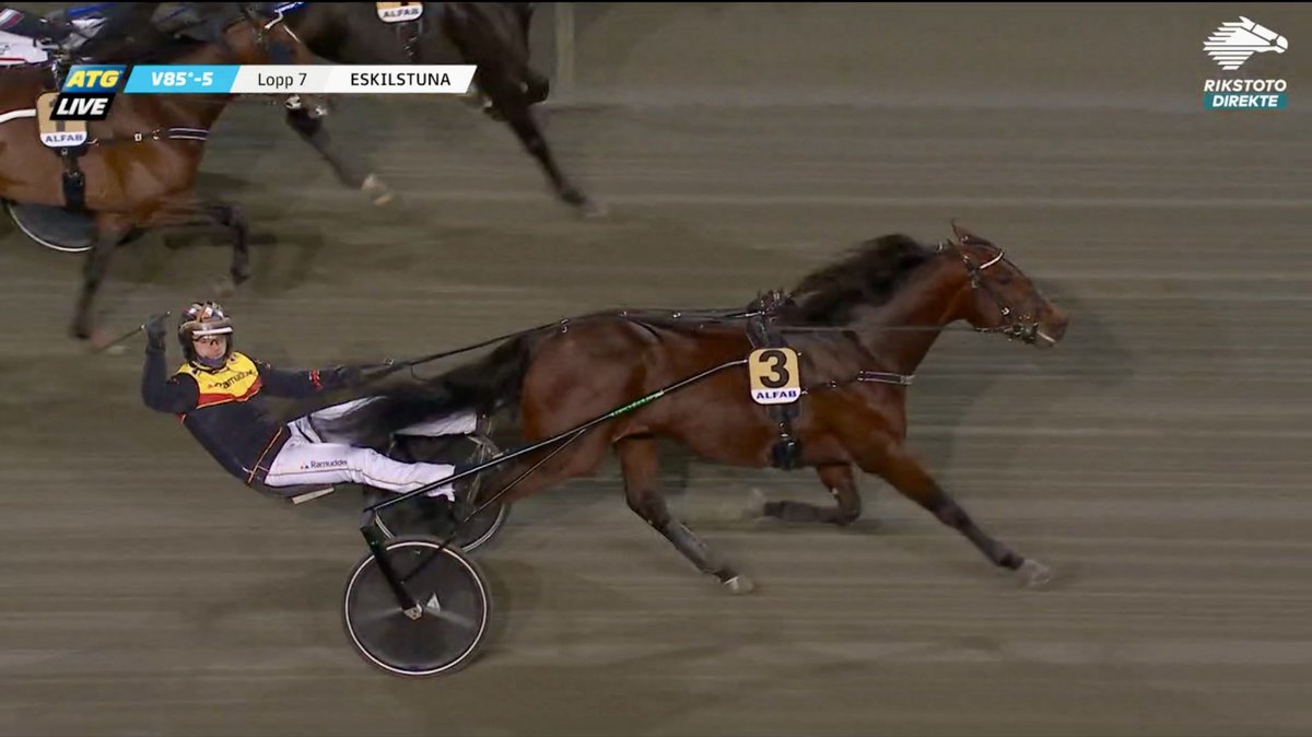 Dream Mine !! Har du sett FOR en traver 👊🏽 ⁦<a href="/matsdjuse/">Mats Djuse</a>⁩ og Westholm