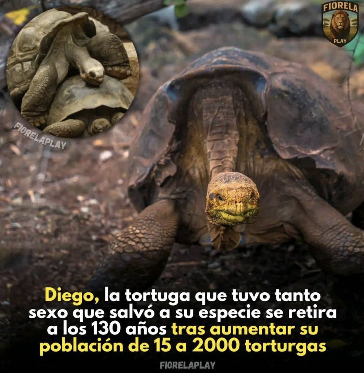 ᒍᗩᑕK ᕼᗩᗷIᑕᕼᑌEᒪᗩᔕ 🌙 (@jackro_423) on Twitter photo 