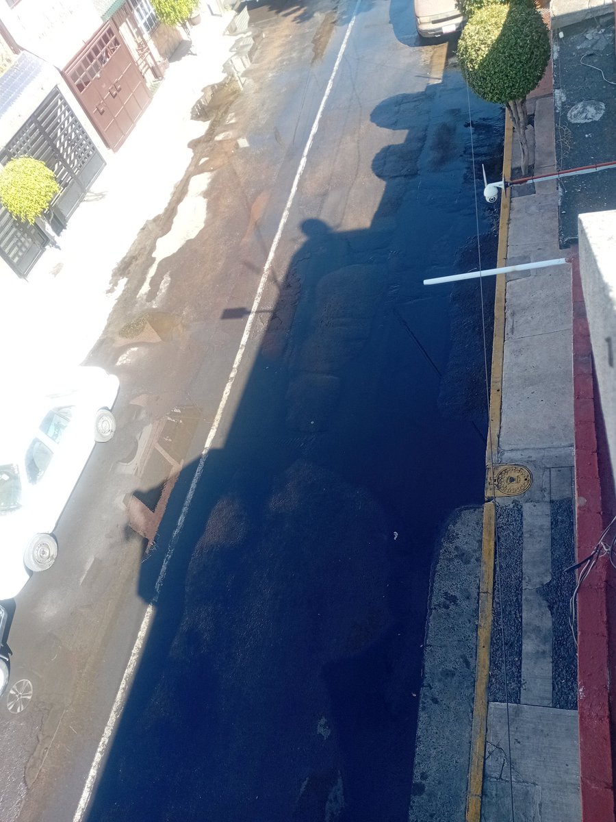 🅾SK🅰R🐃 tweet media