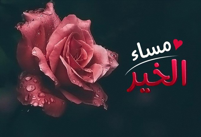 اللحظات الجميـلة ..

كأوراق الخريف تسقط من أعمارنا..

         دون أن تعـود أبداً ...

🌸#أسعدالله_مسائكم_بكل_خير🌸