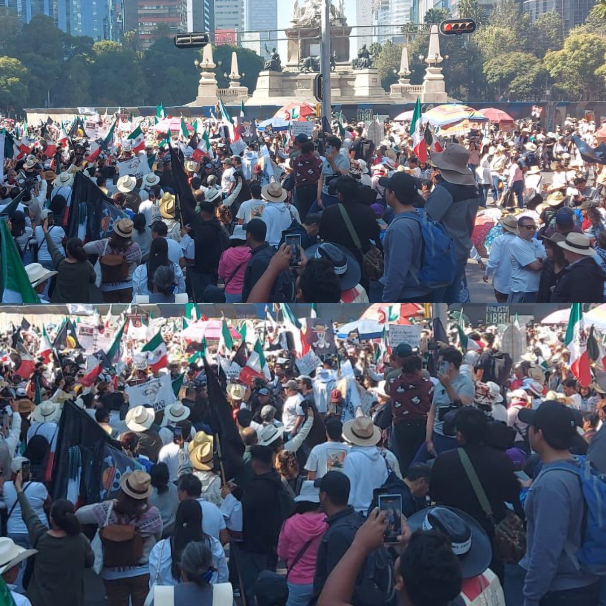 Cerebros tweet media