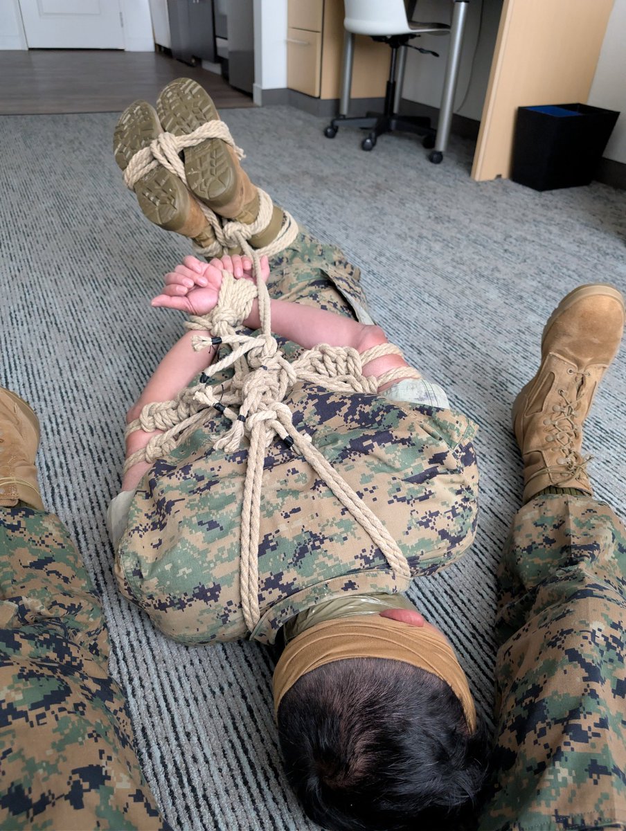 CapturedCamo tweet media