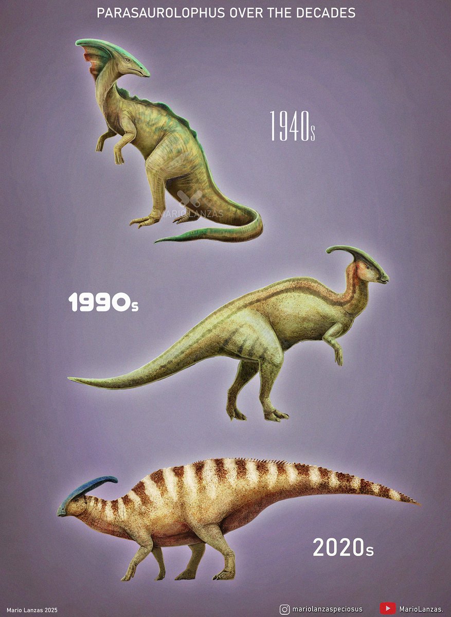 mariolanzas5's tweet image. PARASAUROLOPHUS, from the video: youtube.com/watch?v=NyoCmm…  on how our perception of prehistoric animals evolved as paleontology advanced over the decades (more examples there) ⌛  #paleontology #parasaurolophus #paleoart #dinosaurs #retrosaurs