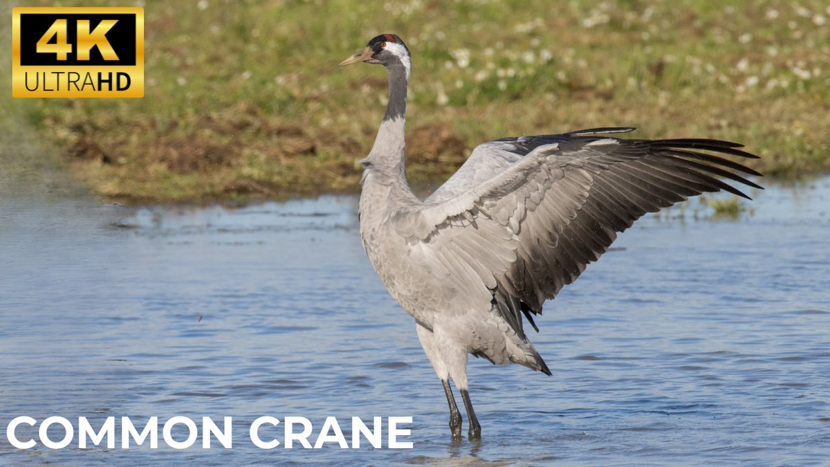 Tam & Lauren tweet media