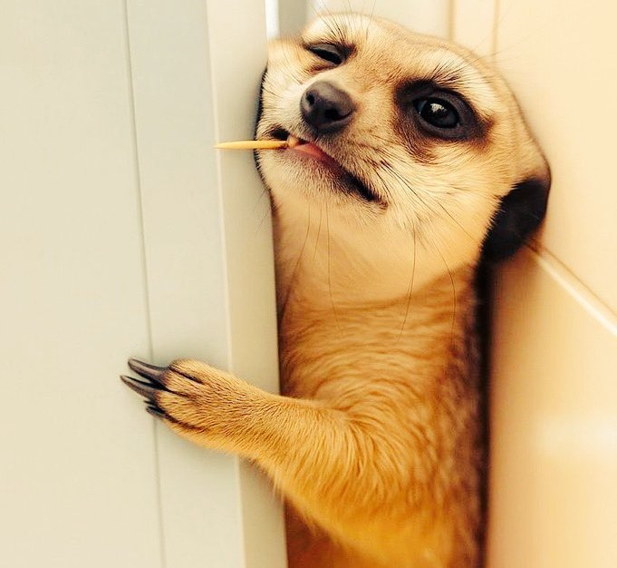 Below 25K ??

Say Hi 👋 Let's Connect Now 👇😎🔄