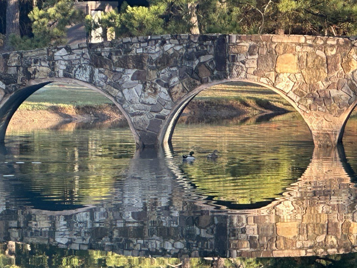 Todd Stephens, CGCS tweet media