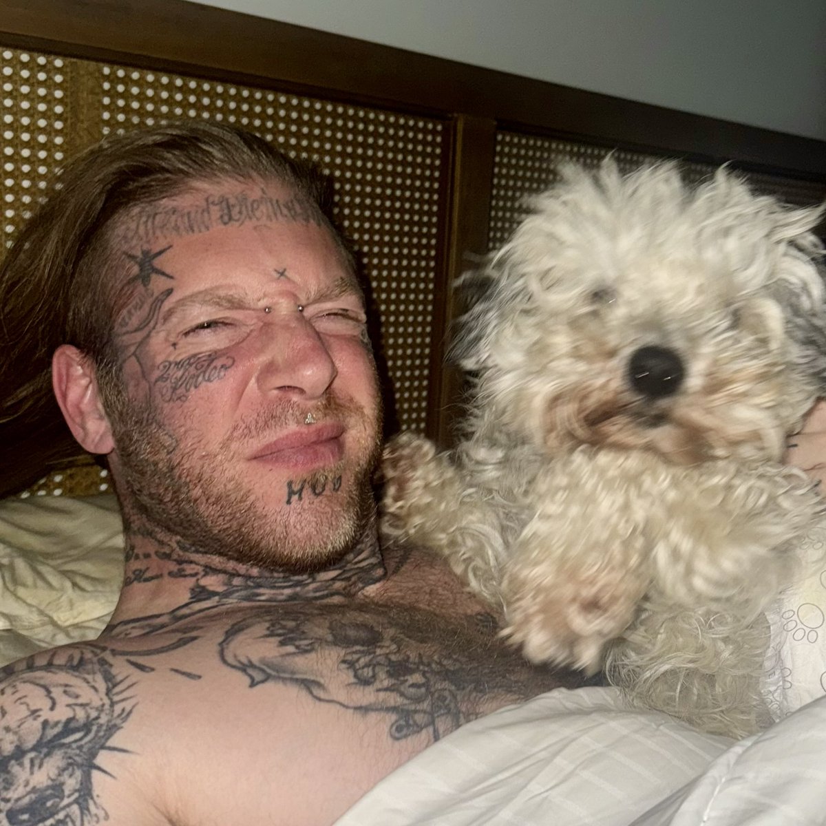 Tom MacDonald tweet media