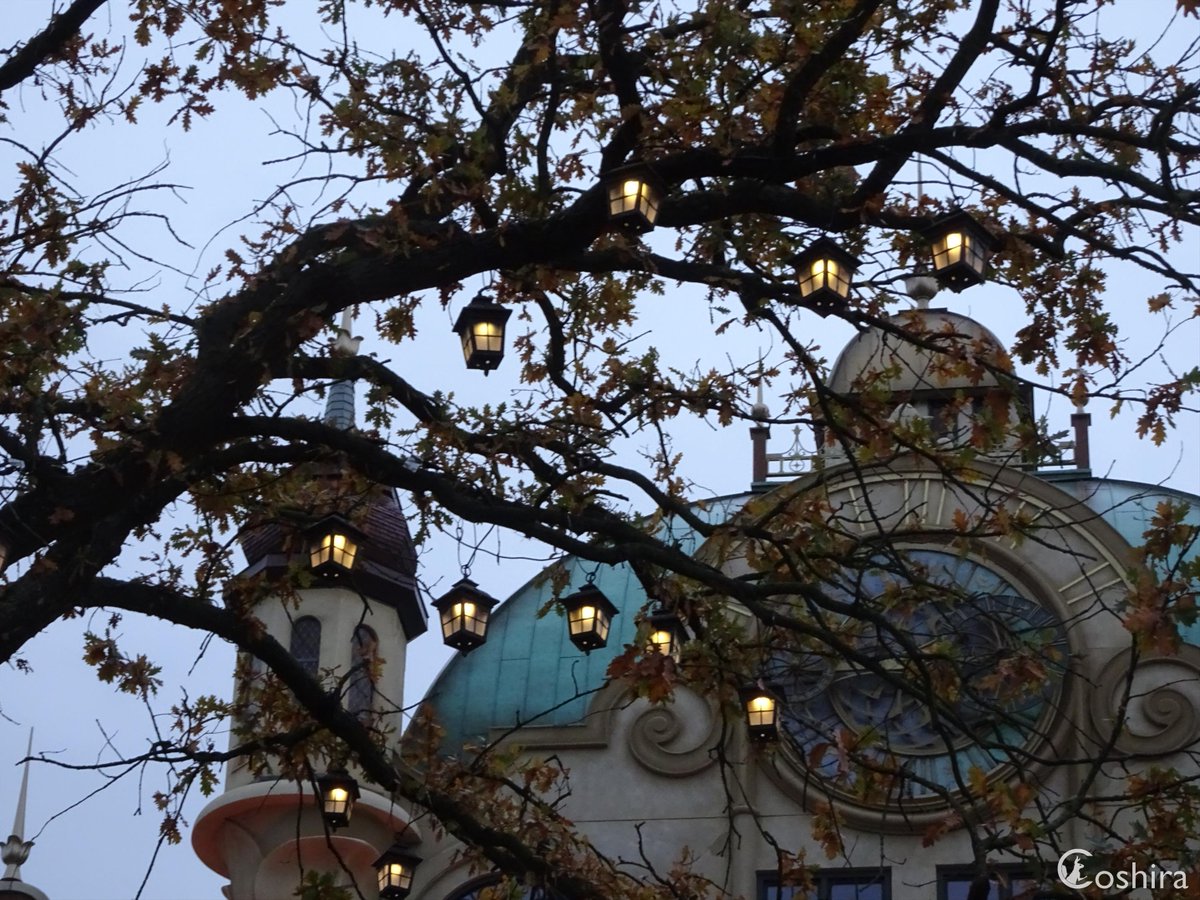 Coshira_'s tweet image. De lampjes die voorheen waarschijnlijk bij Pagode in de boom hingen, hangen nu in een boom voor het Efteling Grand Hotel.

#Efteling #WinterEfteling #EftelingGrandHotel