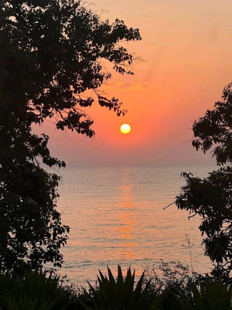 dessalegnmanaye's tweet image. The #CorridorDevelopment Initiative continues to gain momentum across #Ethiopia. One promising example is the ongoing development progress of the #Bahirdar city.