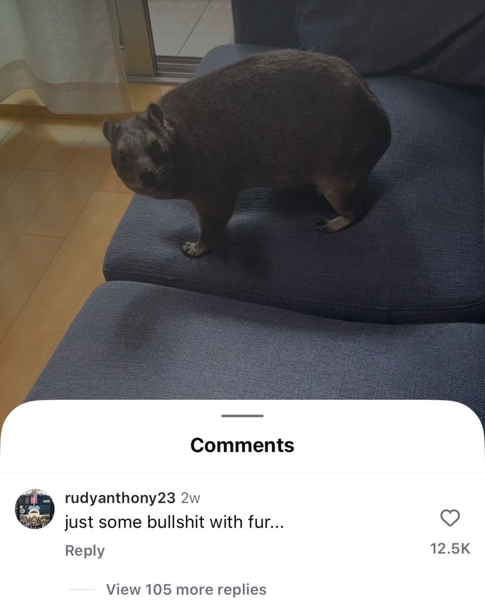 hugepo0p's tweet image. 