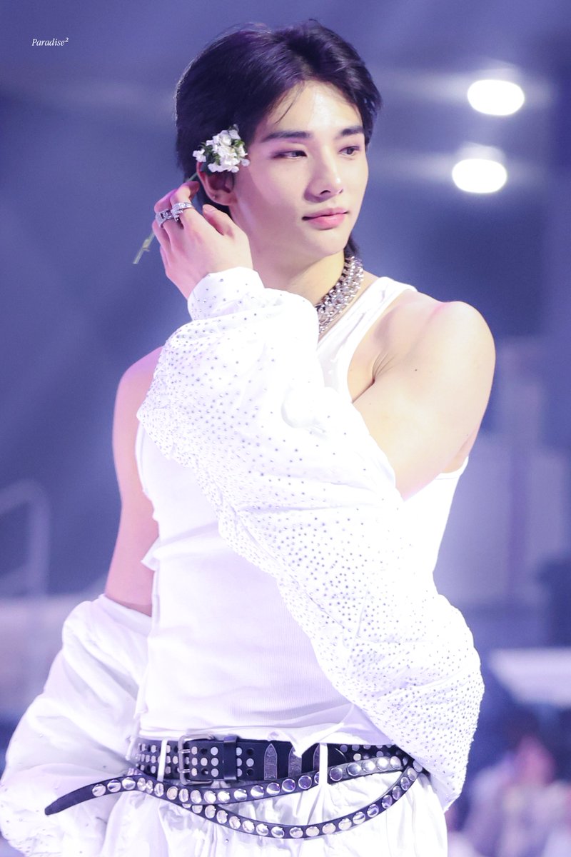 Paradise² tweet media