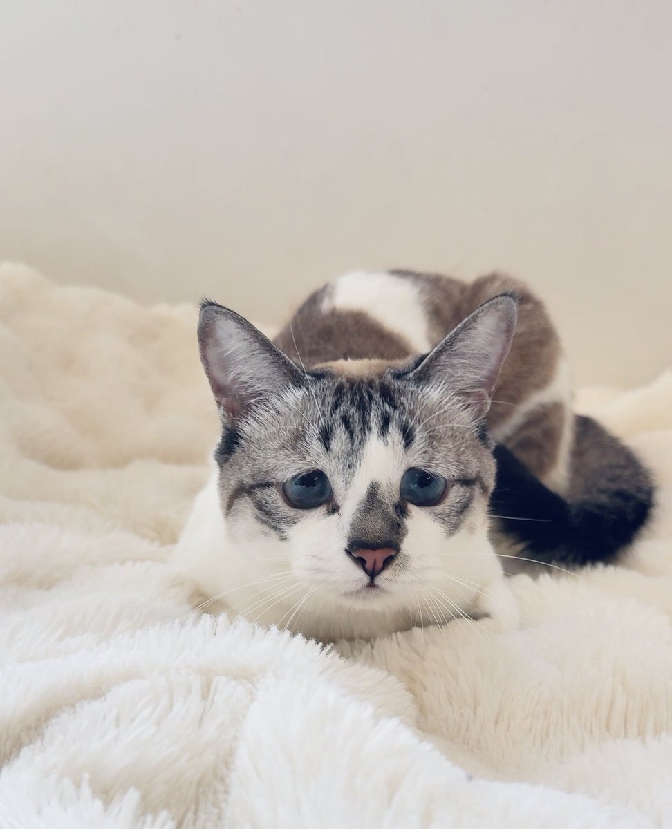 のーまーくん (@j44KMPlXzmq1CRb) / Posts / X