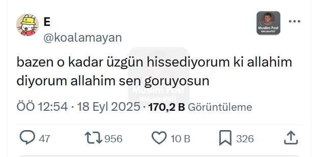 Muslim Post (@muslimp0st) on Twitter photo 