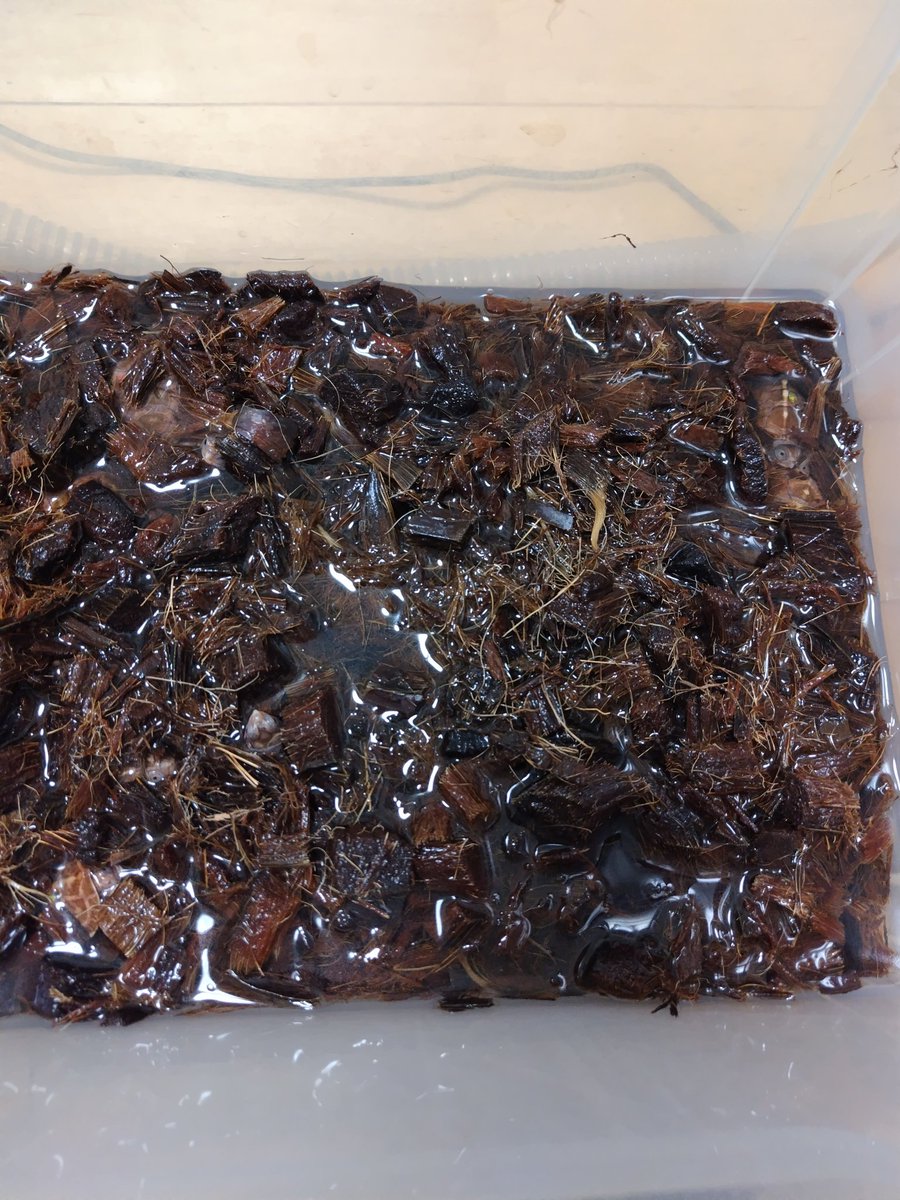 tito (@34_wgnc) / Posts / X