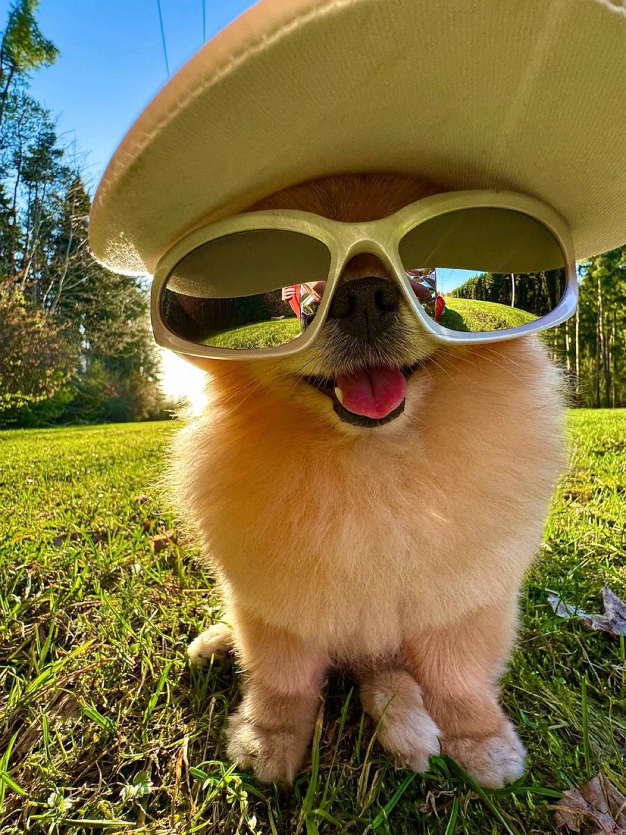 I put in steady bagwork on the same coin every day because I know the long term payoff is far greater than constantly rotating between coins.

Delayed gratification wins in this space,far more than most people realize.

Finding that one project with a real, committed community