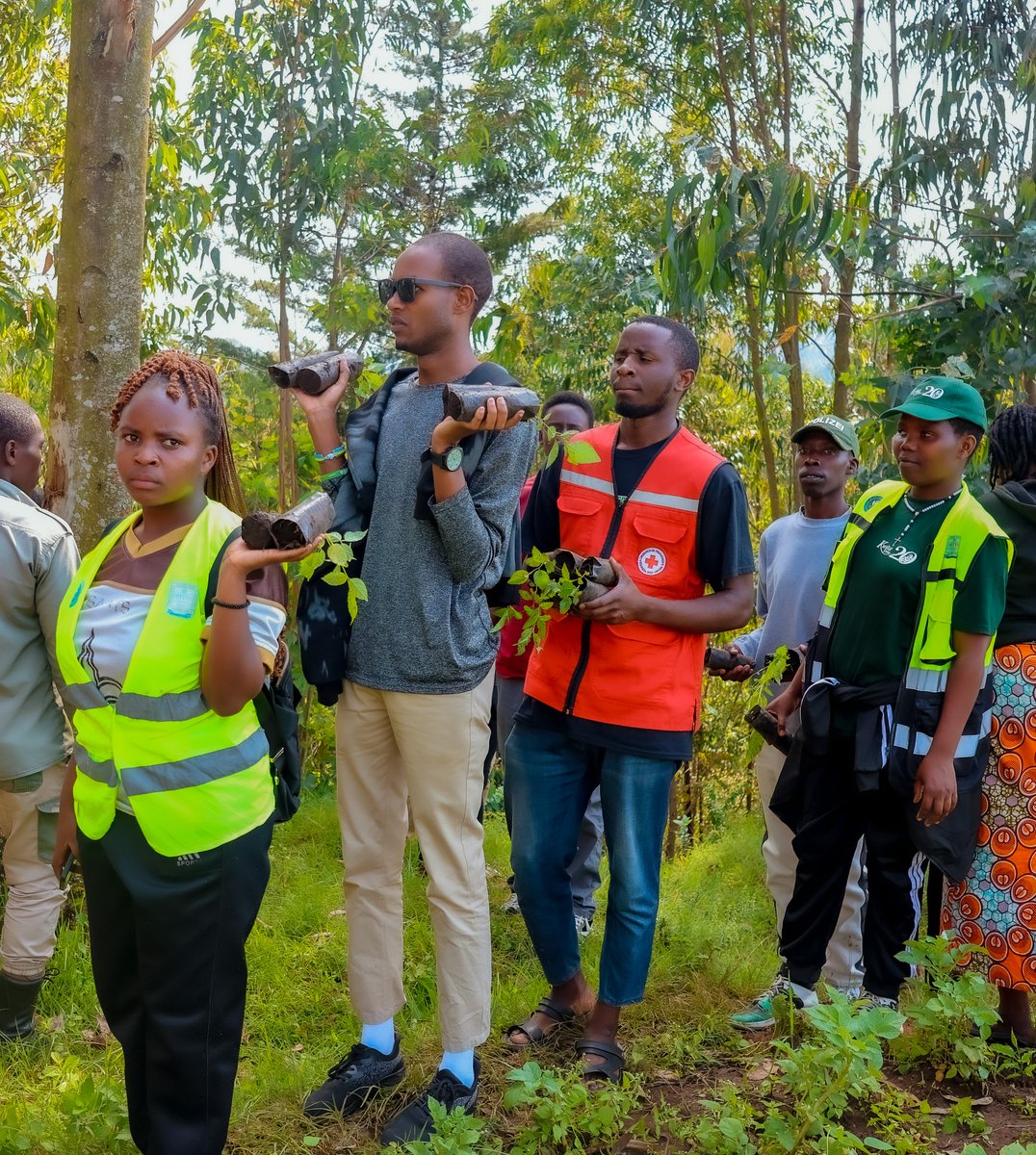 Uyu munsi, Abayobozi mu nzego zitandukanye barangajwe imbere na Guverineri wa <a href="/RwandaNorth/">Northern Province/ Rwanda</a> <a href="/gahundemaurice/">Maurice Mugabowagahunde</a> n'Abakinnyi b'ibyamamare muri Filime Nyarwanda bifatanyije n'abaturage b'Umurenge wa Cyuve mu muganda wo gutera ibiti bivangwa n'imyaka wabereye mu Kagari ka Bukinanyana.