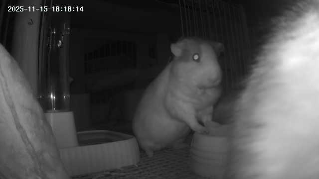 왤케 울끈불끈하지