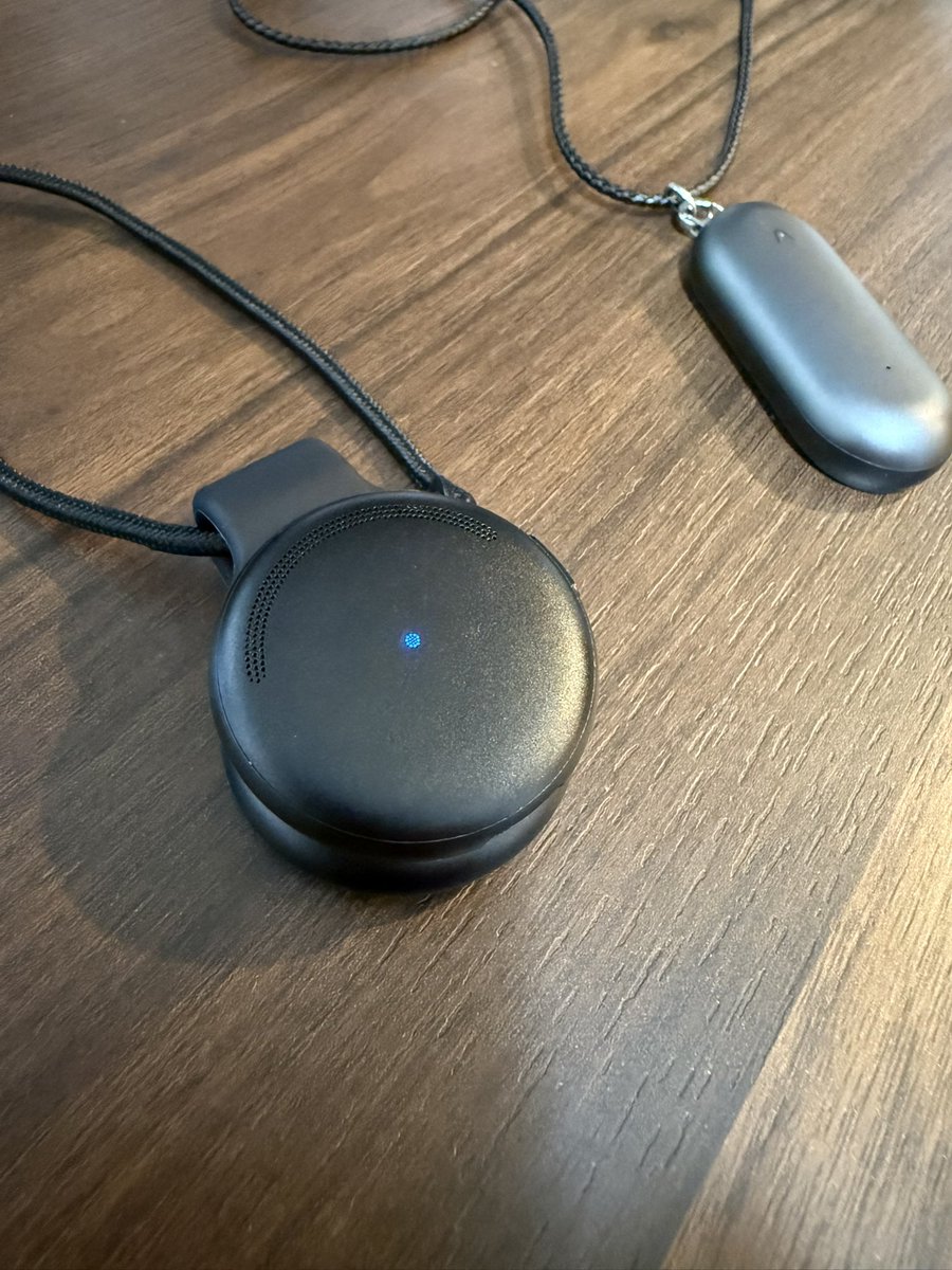 Limitless購入！

Plaudはバイバイだ。

何度も同じ説明を色んな人にするので、そのログを元に教材・マニュアル化できるよう使いこなす🔥