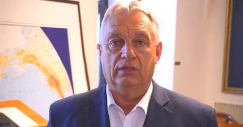 FRAU MAYER tweet media