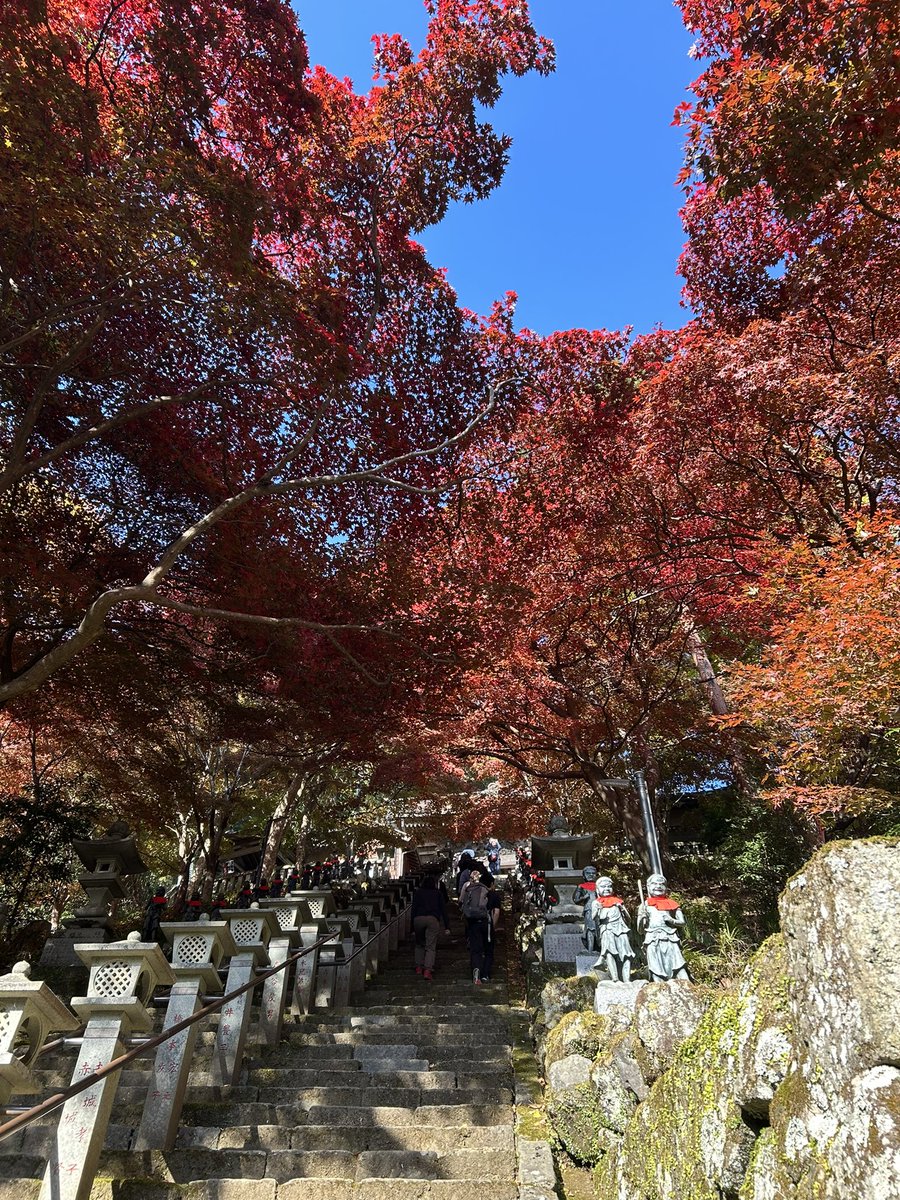 celsuper2's tweet image. 今日は地元丹沢の大山ハイク

紅葉の時期に来たのは初だったが、意外なほどに綺麗でびっくりした！