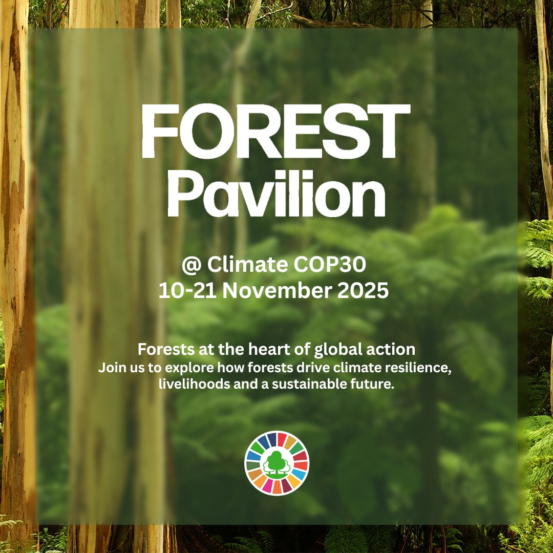 🔴 LIVE IN FIVE!

Join Brazil, Canada, #CPForests and partners for the grand opening of the #ForestPavilion at #COP30

🗓️ Saturday 15 November 2025
⏰ 10:00-11:00 UTC-3
👉 youtube.com/watch?v=VVilfj…

#UNForests #ClimateAction