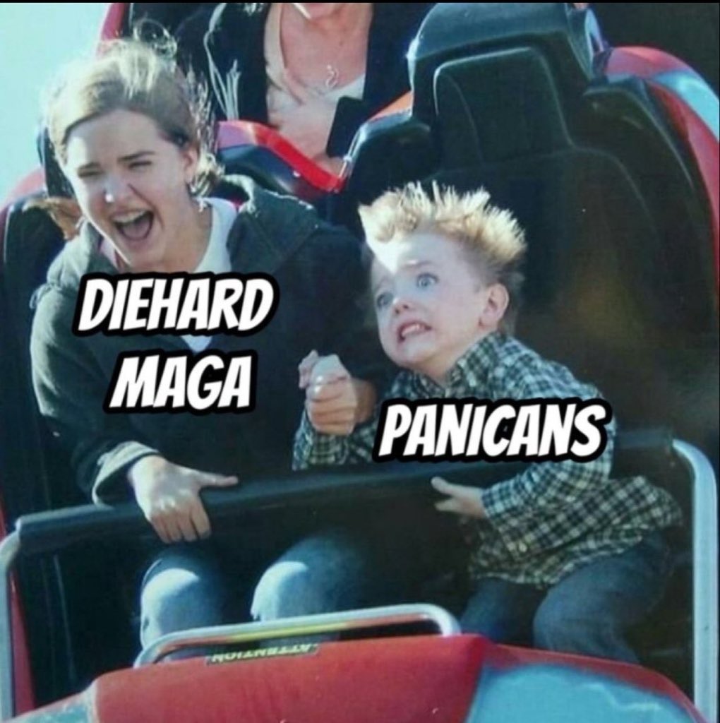 catturd2's tweet image. 