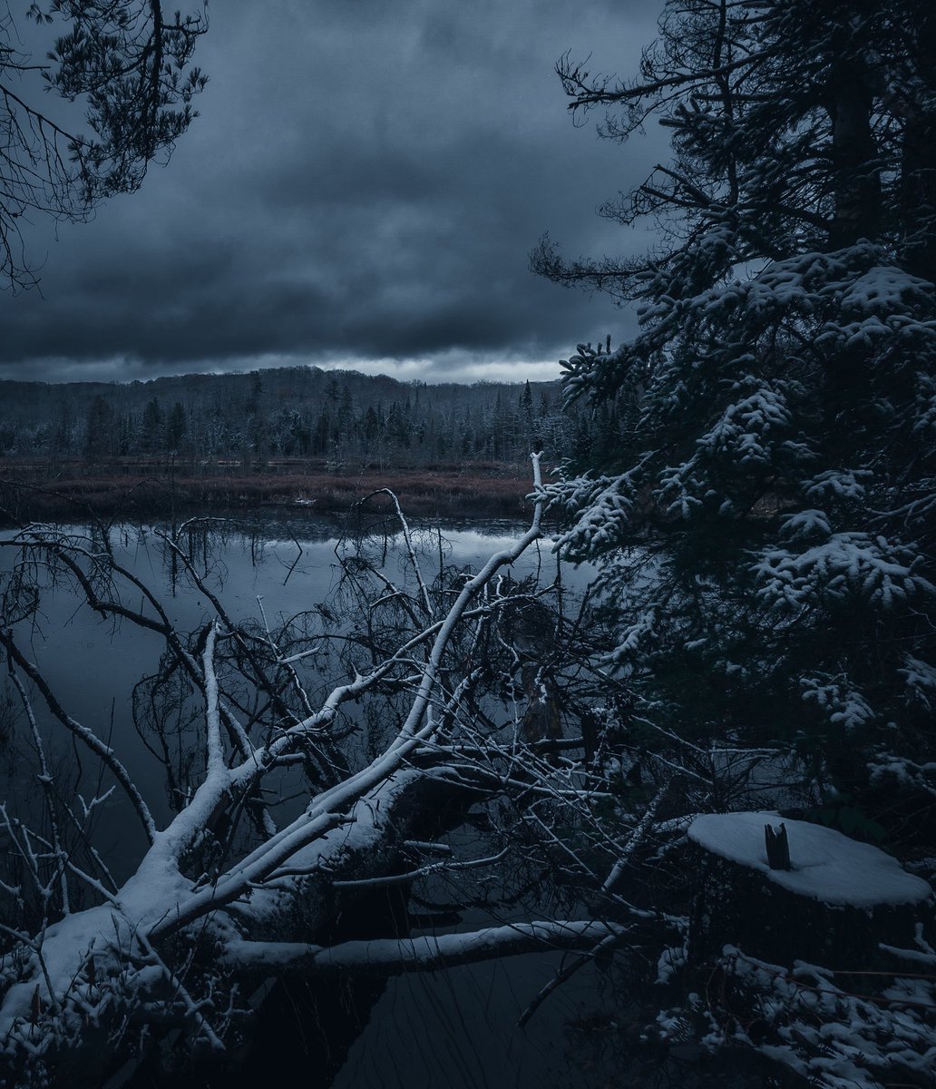 Loki Highlock (@lokihighlock) on Twitter photo 