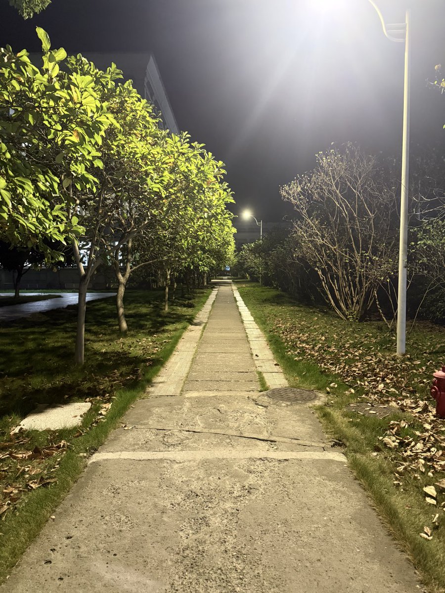 秋の夜に散歩するのは幸せすぎる🥰