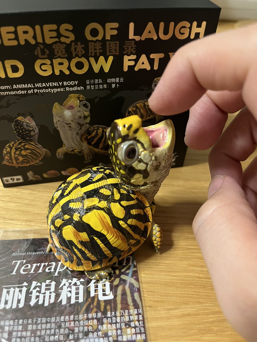 動物の惑星〜アニマルプラネット WF 6-05-08 (@animal2023jp) / Posts / X