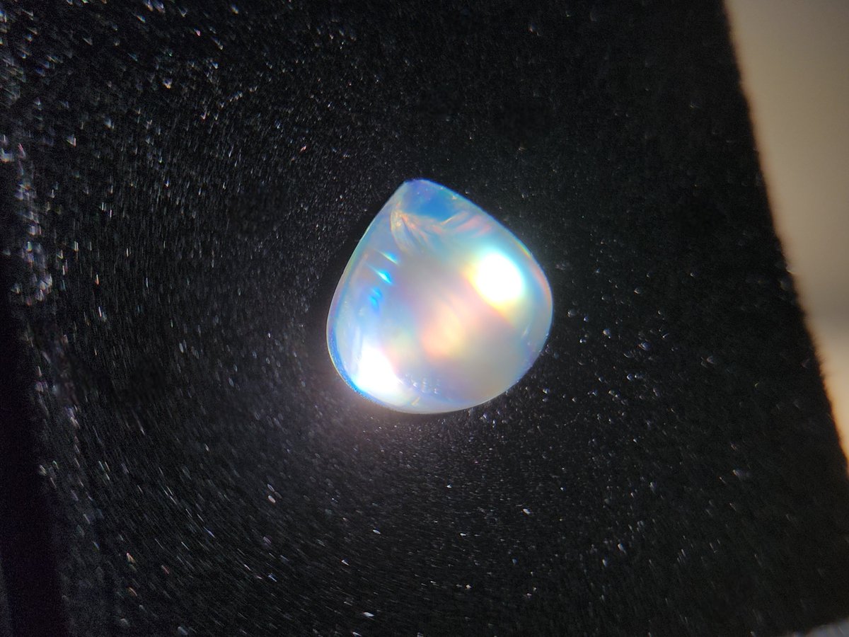 보낼까말까 보낼까말까 수십번 고민했는데
항상 너무 예쁘게 미모 뿜뿜해줘서 품으려구요