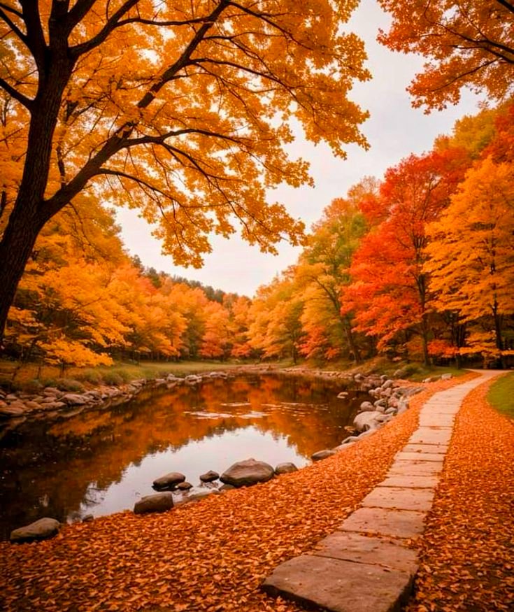 Earth Glory (@earthglory56) on Twitter photo 