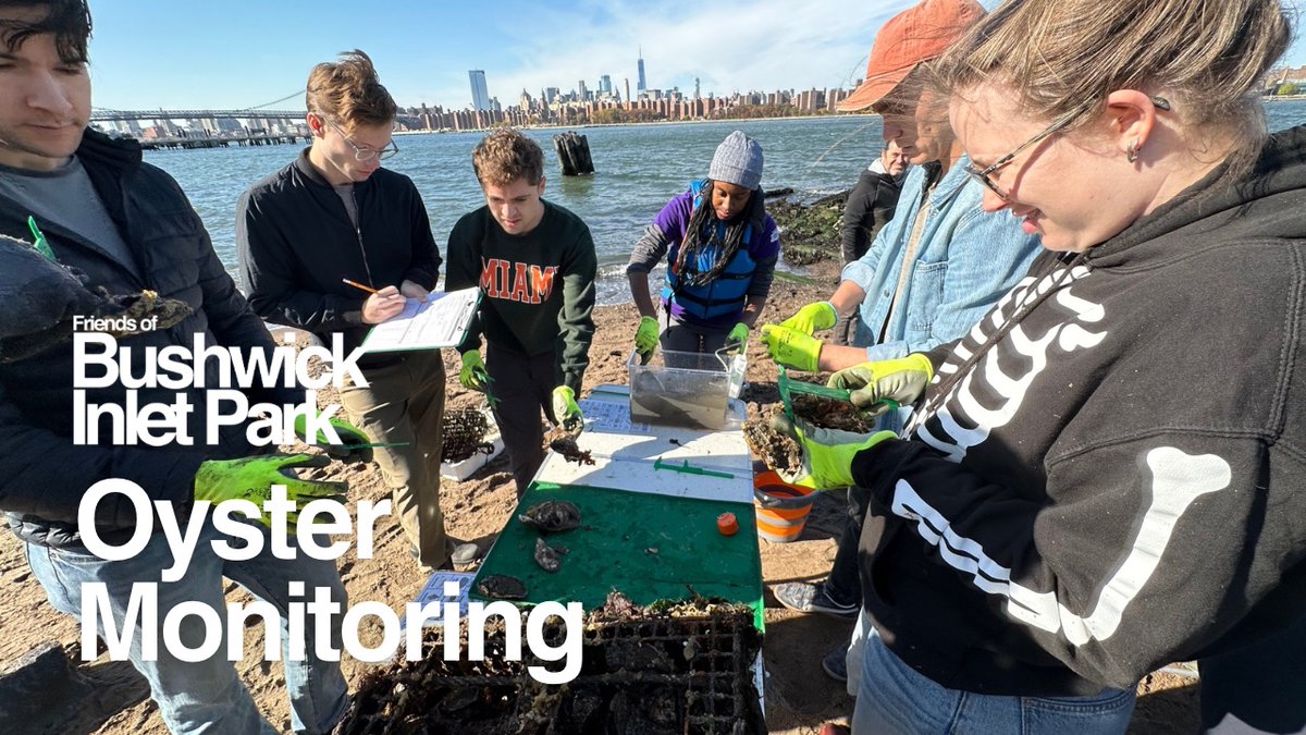 Bushwick Inlet Park tweet media