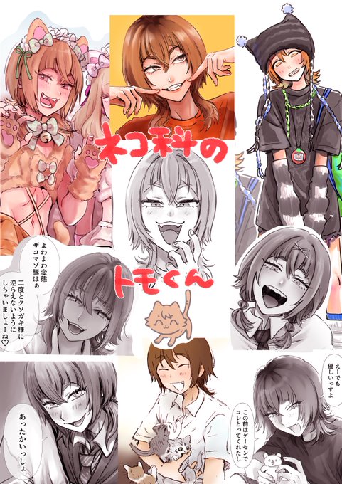 ネコ科とイヌ科どっちすき? 