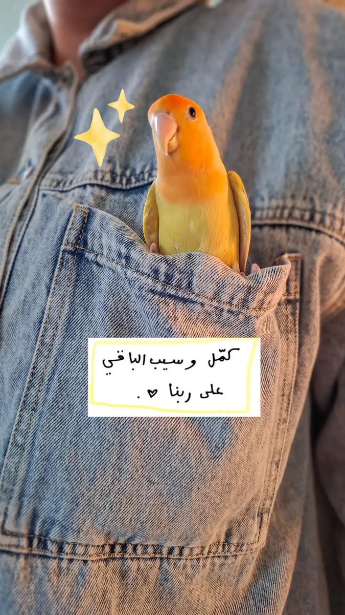 Zen° ✨🐥🌻 tweet media