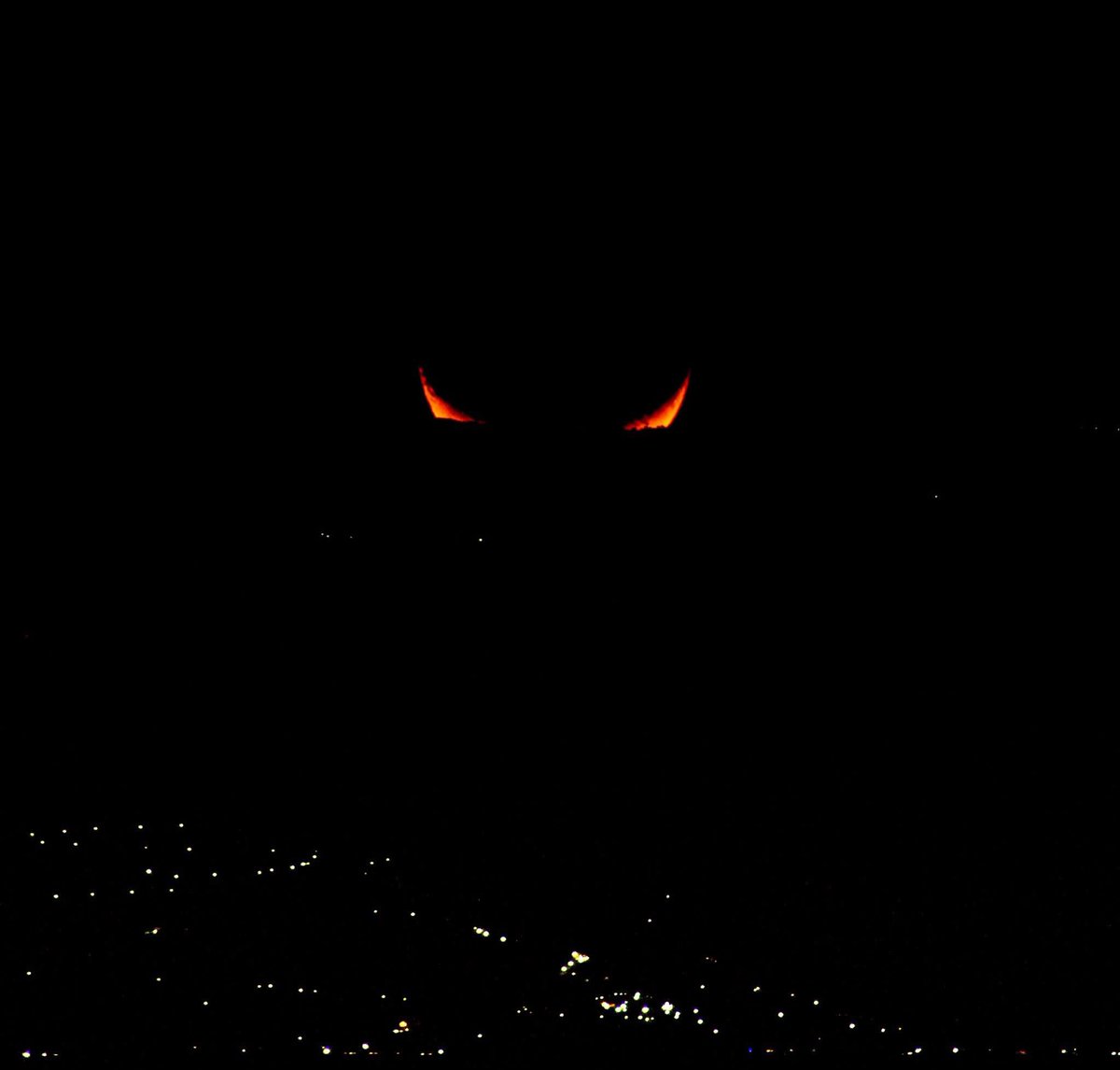 Gchewy 

<a href="/Chewy_xyz/">Chewy (November 24th)</a>